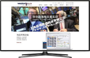 青浦網(wǎng)站制作 青浦做網(wǎng)站公司 青浦網(wǎng)站設計公司 青浦網(wǎng)站建設