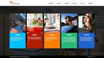 上海依冬官方形象網(wǎng)站設(shè)計(jì)