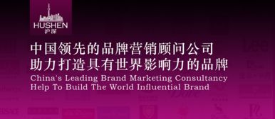 上海十大品牌策劃公司 滬琛品牌營銷策劃公司網頁設計